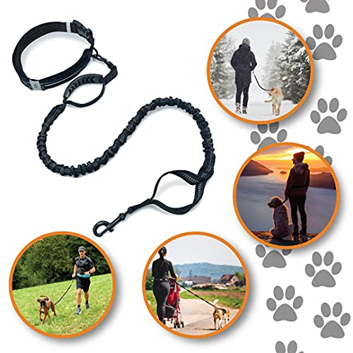 Hunde-Joggingleine mit Gürteltasche für aktives Hundetraining