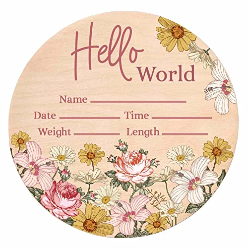 Image of Hello World Newborn Sign - Baby Name Birth Announcement Plaque for Hospital - Daisy Pink Floral - Photo Prop - Nursery Decor - Shower Gift