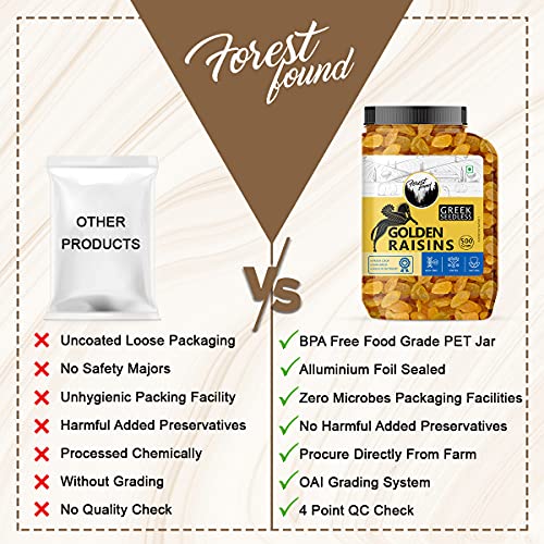 Image of Forest Found Greek Seedless Raisins Combo (500g Black + 500g Golden) 1kg | Kishmish Iron-Rich Sun-Dried Grapes for Soaking & Health Sweet | Natural Immunity Support | No Added Sugar (Pack of 2)