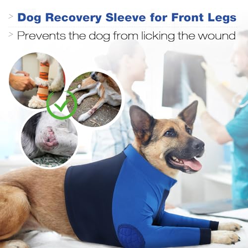 Coudières pour protéger les articulations du chien et manchon avant