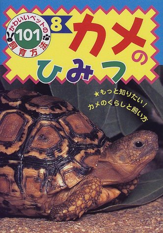 カメのひみつ かわいいペットの飼育方法101 宇田川 葉子 本 通販 Amazon