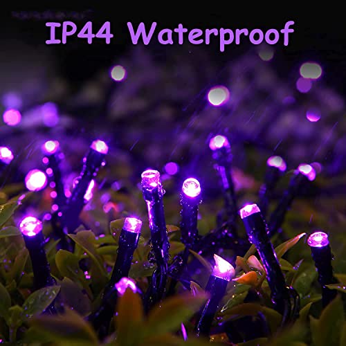 PhilzOps Halloween Luci Stringa Solari, 22M 200 LED Natale Catena Luminosa Esterno Solare 8 Modalità Impermeabile Viola Luci LED Decorativa con Memoria Per Giardino Albero Patio Festa Balcone Camera