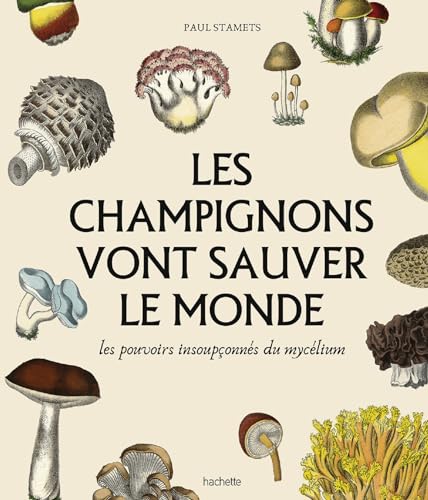 Les champignons vont sauver le monde: Les pouvoirs insoupçonnés du mycelium