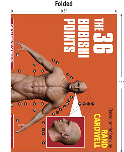 The 36 Bubishi Points, Pressure Points, Vital Points, Martial Arts, 8.5X11 Folded Or 11X17 Unfolded #TOP2