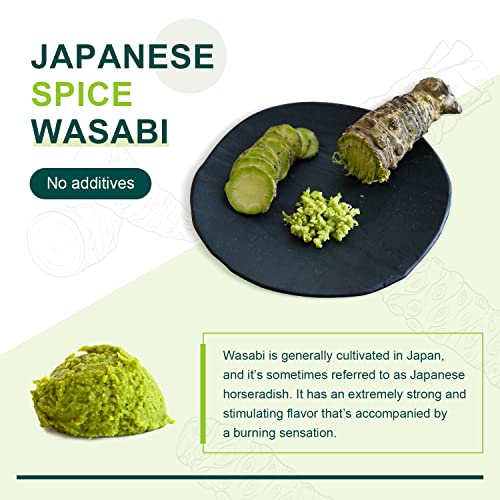 The 29 Best Wasabi Powder of 2024 [Verified] Cherry Picks