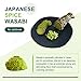 Soeos Wasabi Powder 8oz (227g), Premium Wasabi Powder for Sushi and Sashimi