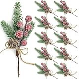 Asikkon Red Berry Stems Floral Pine Cones Christmas Artificial Pine Branches Evergreen Branch Berries Décor 10PCS Holiday Floral Picks Holly Stem for Decoration DIY Christmas Craft Wreath Decoration