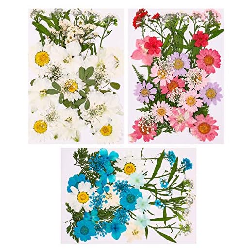 tao pipe 106 Piezas Flores Secas Naturales, Flores Secas Naturales Flor Prensada Mezclada Bricolaje Decoraciones Flores Secas Para Albumes de Recortes Arte Manualidades (3packs)