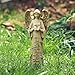 DUSVALLY Angel Statue Resin Statue Set-Angel Figurine Sculpture for Lawn & Yard, Healing Angel Gifts for Women，10 inches