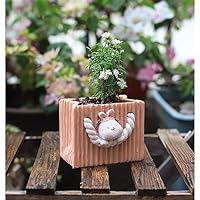 『特別制作品』押し花 樹脂製 インテリアオブジェ 約7cm 特別制作品』押し花 樹脂製 インテリアオブジェ 約7cm