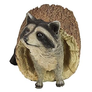 Designtoscanobandittheraccoonindooroutdoorgardenanimalstatue10inchlongcaststoneresinfullcolorfinish  Urban Country Home Decor Design toscano bandit the raccoon indooroutdoor garden animal statue 10 inch long cast stone resin full color finish  urban country home decor