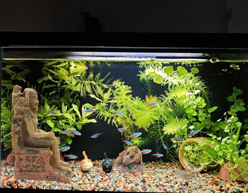 Image of M2cbridge Aquarium Decor Castle Shipwreck Ornament Underwater Landscape(Egyptian Pharaohs)