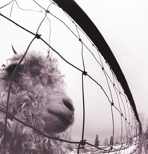 Album Art for Pearl Jam - vs. Vinyl Edition Remastered by Pearl Jam