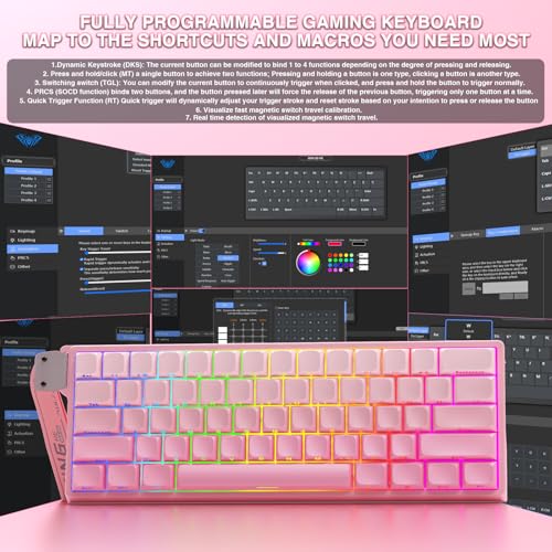 Image of Aula WIN60 HE - 60% Mechanical Gaming Keyboard Wired, Hall Effect Magnetic Switch Hot Swappable,8000 Hz Polling Rate, RGB Keyboard 60 Percent Compact Design for PC (Gradient Pink)