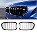 Produktbild OptimumParts24 Kühlergrill Nieren Doppelsteg Schwarz Glänzend passend für 1er F20 F21 LCI