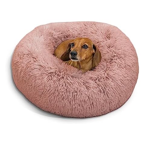 Coussin Apaisant Best Friends by Sheri Cover