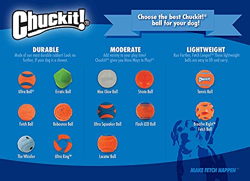 Image of Chuckit! Ultra Squeaker Balls for Dogs, Floating Water Pet Toys, Durable Rubber Pet Toy, Bouncy Squeaky Fetch Balls for Dogs, Medium (2.5 inch) 2 Count (Pack of 12)