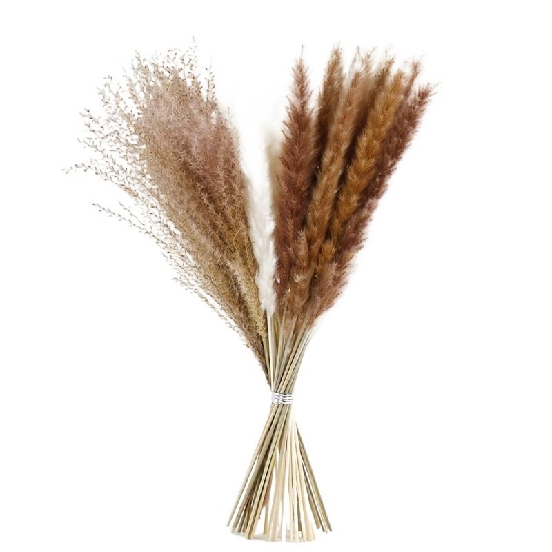 Pampas Grass Boho Decor Natural Dried Pampas Grass Fluffy Rabbit miniatura 1