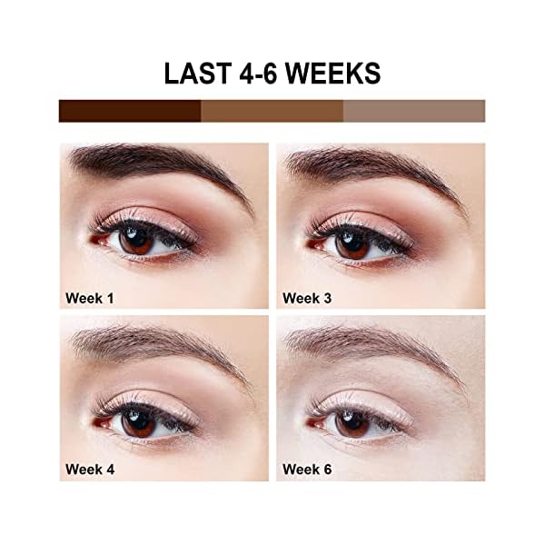 EyebrowTintingKit BrowTintingKitProfessional Eyebrowandeyelash