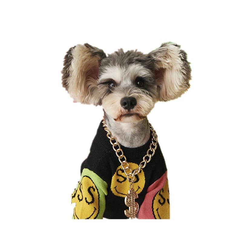 43 cm luxuriöse Goldkette für Hunde, Dollar-Metallhalsband, Haustierzubehör, Hundezubehör, praktisch und geschickt, Zink, Kein Edelstein