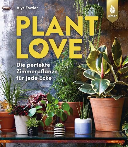 Plant Love: Die perfekte Zimmerpflanze für jede Ecke