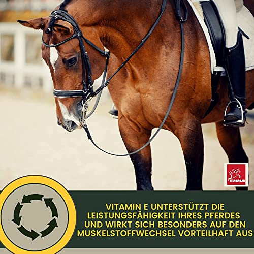 EMMA Mineralfutter Pferd 5kg + Biotin Zink Selen – Mineralien Komplex mit Magnesium & Bierhefe – Pellets & Amino Paste 30ml – Huf Fell Haut Fellwechsel – Pferdefutter für Starke Hufe & Vitalität