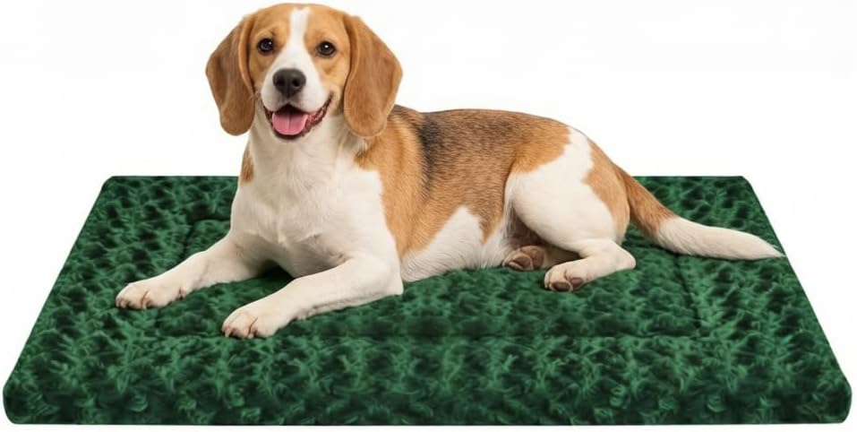 Woolly Wonders Premium Wool Pet Crate Pad – Washable, Dual-Sided, and Plastic-Free