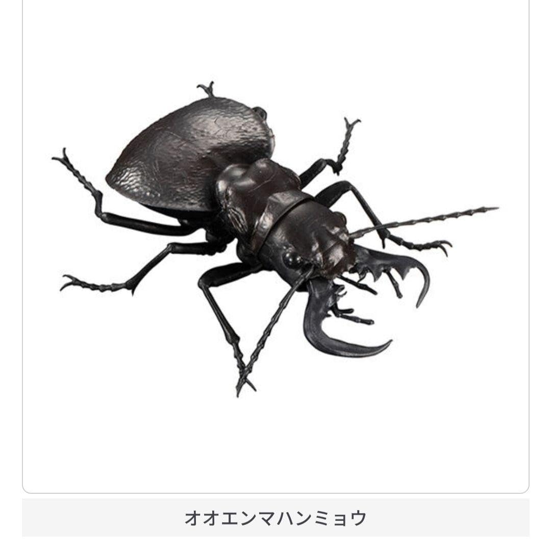 Amazon.co.jp: いきもの大図鑑 くわがた05 ヨーロッパミヤマ