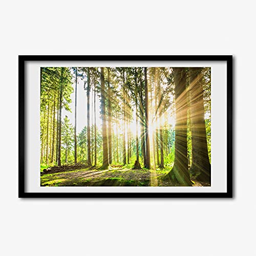 Foret Au Soleil cadre photo Tulup 60x40 cm pour habiller un mur vide avec style