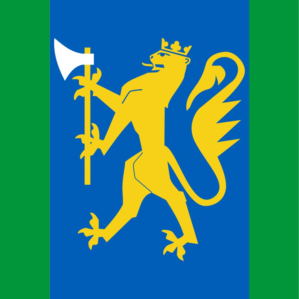 Drapeau Large Oslofjord Home Guard District 01 grand format pour pavoisement extérieur durable