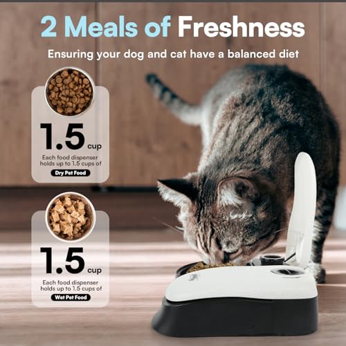 PAWISE Automatic Pet Feeder 300 ml Automatischer Futterspender für 48-Stunden-Planung für 2 Mahlzeiten Zeitgesteuerter Futternapf für Hunde und Katzen