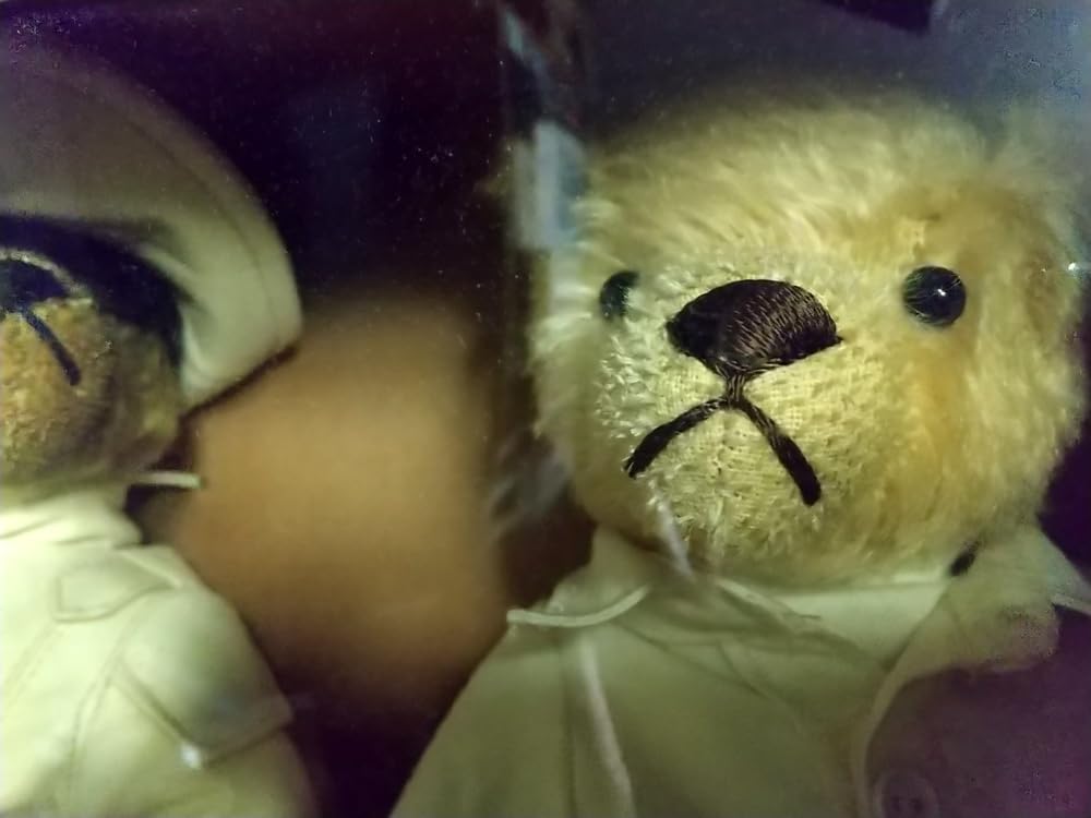 Amazon.co.jp: チャゲ＆飛鳥 テディベア 限定品CHAGE＆ASKA THE LIVE