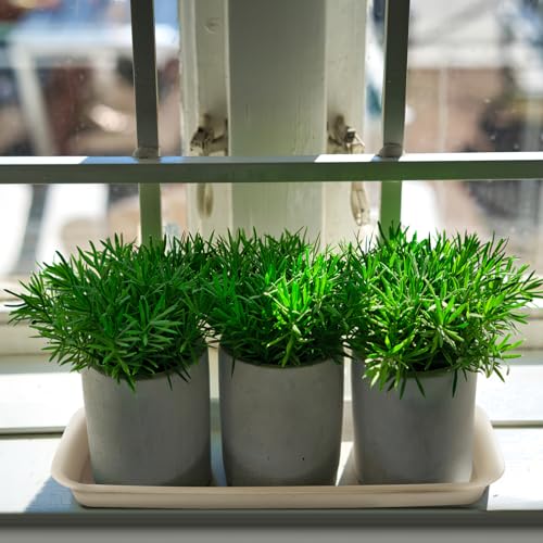 Happyyami 3pcs Plastic Plant Saucer Rectangular Drip Trays for Indoors Outdoor Plants Flower Pot Garden Plant Water Tray for Pots Window Sills Window Shelf White 40X14.3CM - Image 4