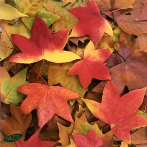 オムニバス／秋のいざない〜オータム ジャズ コレクション