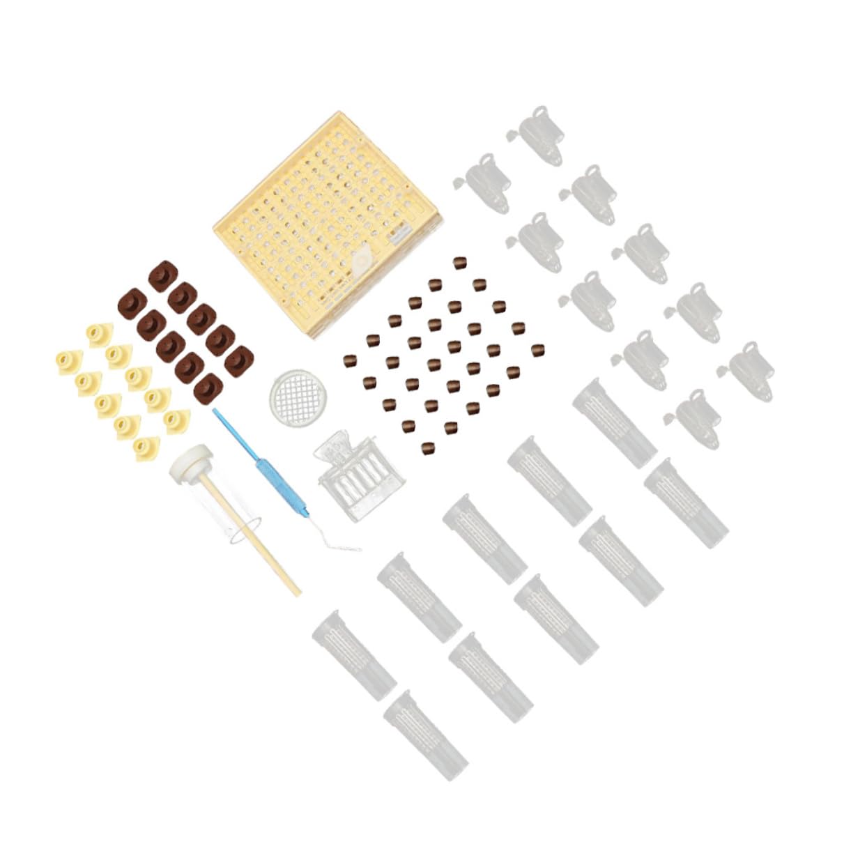 Incubateur Pour Système Délevage De Reines Kit De Coupelles Pour Cellules Dabeilles Incubateur Mobile Pour Système Délevage De Reines