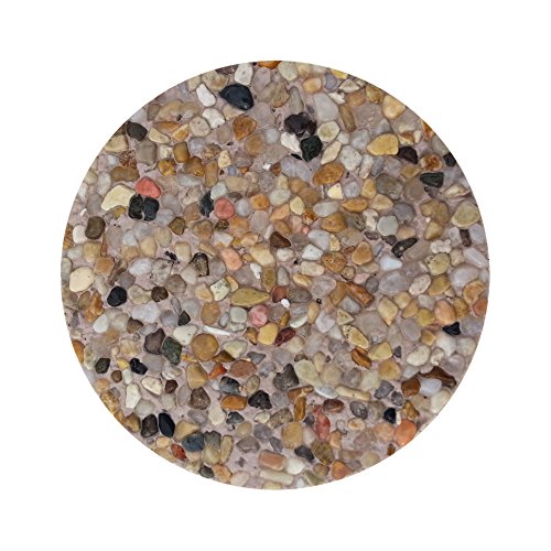 Pool Patch SPPP10 Sand Pebble Tec Repair Kit, 10-Pound