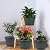 Myfeegoin 10 Inch Planter-Pots-for-Plants-Indoor-Outdoor, 4 Pack Plastic Flower Pots with Saucer & Drainage Holes, Modern Decorative Resin Garden Pots