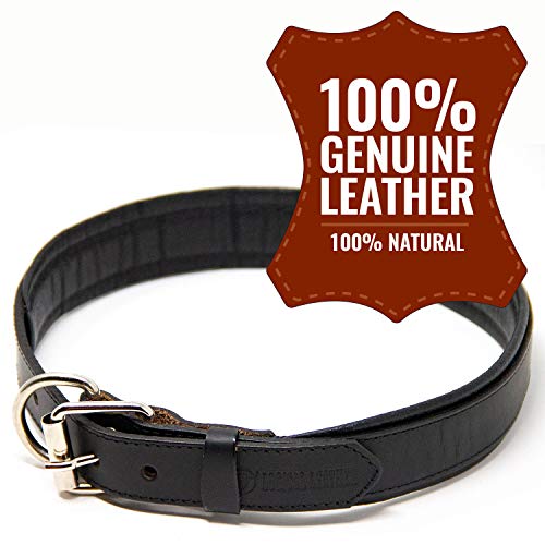 Logical Leather Padded Dog Collar - Best Full Grain Heavy Duty Genuine Leather Collar - Black - Extra Large #TOP3
