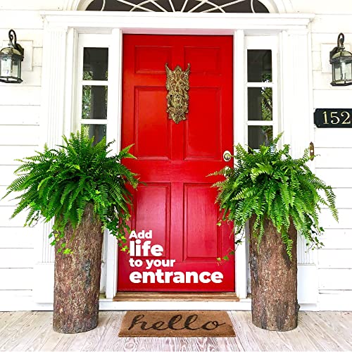 Country-Front-Door-Tall-Log-Planters-Set-2-Extra-Large-Heavy-Cabin-Farmhouse-Lake-House-Entrance-Pots-Rustic-Porch-Patio-Plant-Decor Country Front Door Tall Log Planters Set 2 Extra Large Heavy Cabin Farmhouse Lake House Entrance Pots Rustic Porch Patio Plant Decor