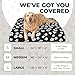 DUKE&LEFTY Furever Pet Dog Bed Slipcover-Stretch Soft Petbed Cover-Universal-Easy to Remove (Zipper Free)-Halloween/Large