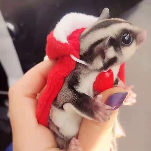 Miniatura 2 de Anelekor Disfraz de Navidad para mascotas pequeñas, capa de Navidad con sombrero, conejillo de indias, capa de Papá Noel, lindo poncho cálido, mini