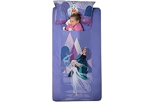 Experience Comfort and Magic with Zippy Sack Bedding | Official Disney's Frozen Twin Snuggle Sheets