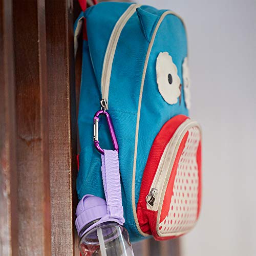 Neteez Keychain Carabiner Clip - 2.6" Small D-Ring Lightweight Color Set Key Chain Belt Clip Outdoor Backpacking Gate Snap Hook Camping, 6 Pcs Pack #TOP3