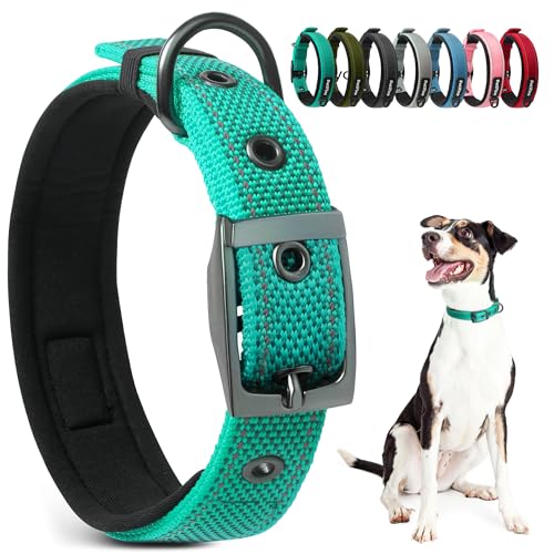 PetiFine Dog Collars for Medium Dogs, Neoprene Padded and Adjustable, Reflective Wide Heavy Duty Pet Collars with Durable Metal Belt Buckle for Walking, Teal, M Teal Medium (14.5"-19")