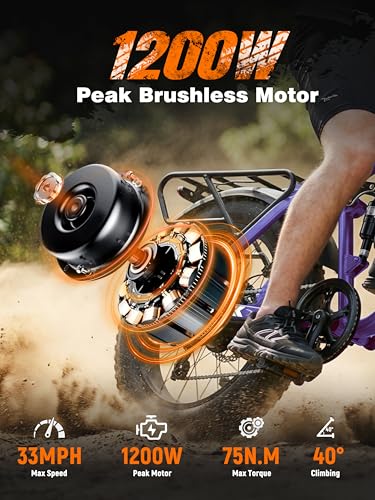ESKUTE M300F Electric Mountain Bike