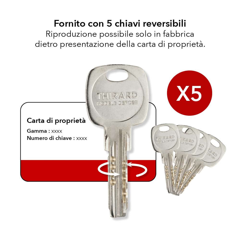 THIRARD - Cilindro Trafic 12 Alta Sicurezza - Set di 2 - Nichel - Ø 30 x 30 mm - 8 Pistoncini - Anti-Strappo, Anti-Perforazione, Anti-Scasso - 10 Chiavi Piatte Reversibili - Grigio
