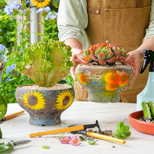 Image of Sungmor Small Succulent Planters Set of 2, Beautiful Hand Crafted Ceramic Plant Pots Cute Cactus Pot, 6.5 Inch Flower Pots for Indoor Plants with Drainage, Desktop Windowsill Home Office Decor Pots