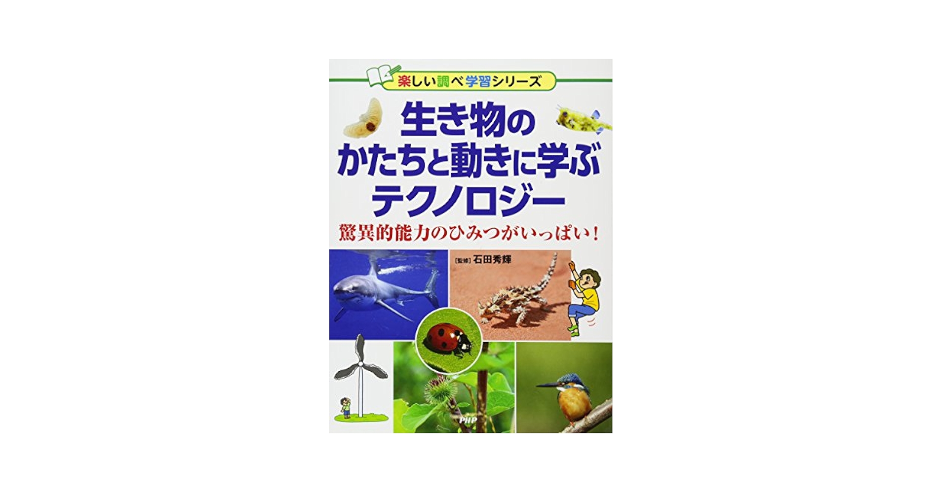 クモの生物学 クモの生物学 | 宮下 直 |本 | 通販 | Amazon