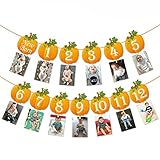 Pumpkin 1st Birthday Photo Banner Newborn to 12 Month Display Milestone Pumpkin Theme First Year...