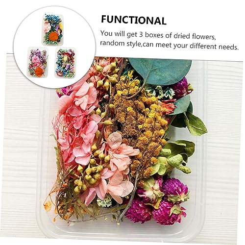 Flores Secas MAGICLULU para Decoración y Manualidades miniatura 2